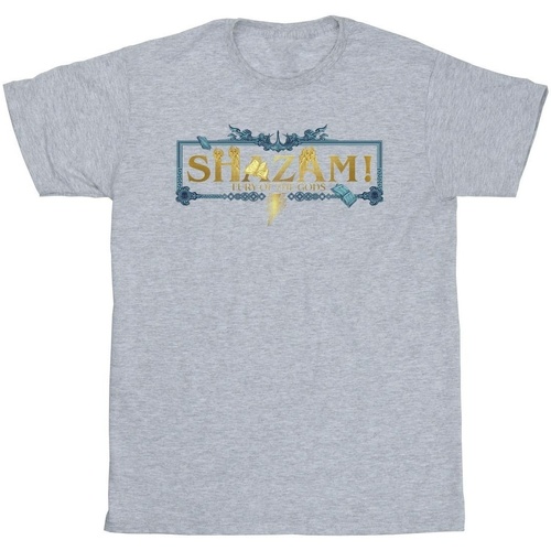 Abbigliamento Uomo T-shirts a maniche lunghe Dc Comics Shazam Fury Of The Gods Golden Logo Grigio