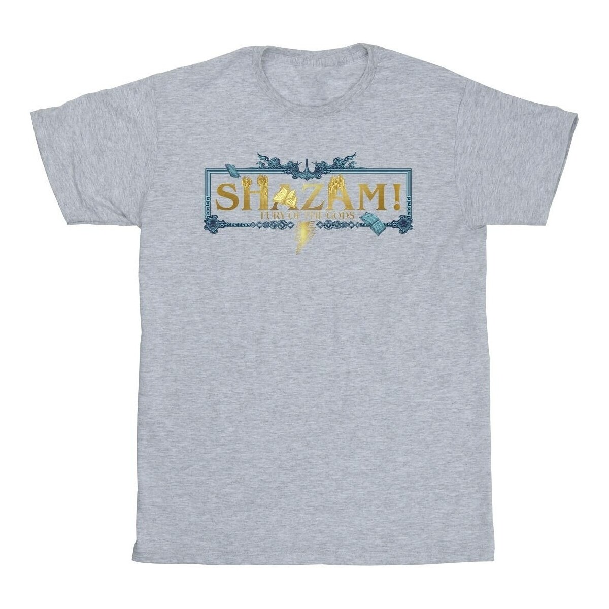 Abbigliamento Uomo T-shirts a maniche lunghe Dc Comics Shazam Fury Of The Gods Golden Logo Grigio