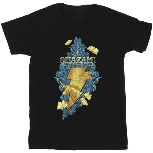 Abbigliamento Uomo T-shirts a maniche lunghe Dc Comics Shazam Fury Of The Gods Golden Animal Bolt Nero