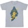Abbigliamento Uomo T-shirts a maniche lunghe Dc Comics Shazam Fury Of The Gods Golden Animal Bolt Grigio