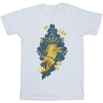 Abbigliamento Uomo T-shirts a maniche lunghe Dc Comics Shazam Fury Of The Gods Golden Animal Bolt Bianco