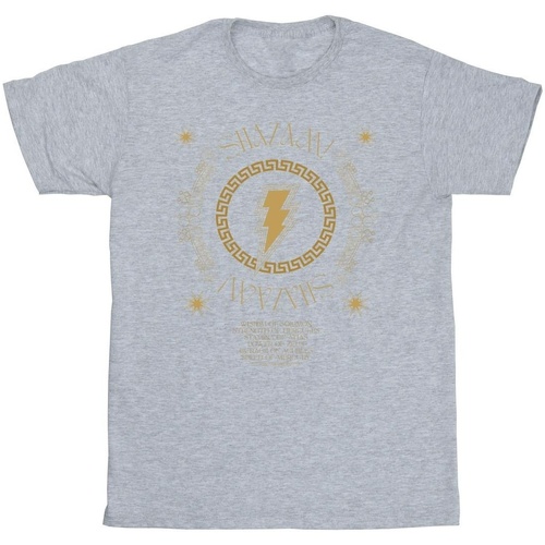 Abbigliamento Uomo T-shirts a maniche lunghe Dc Comics Shazam Fury Of The Gods Golden Spiral Chest Grigio