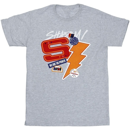 Abbigliamento Uomo T-shirts a maniche lunghe Dc Comics Shazam Fury Of The Gods Sticker Spam Grigio