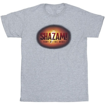Abbigliamento Uomo T-shirts a maniche lunghe Dc Comics Shazam Fury Of The Gods 3D Logo Flare Grigio
