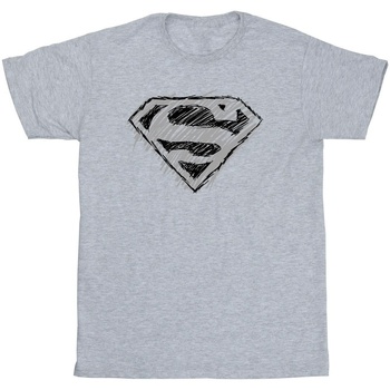 Abbigliamento Uomo T-shirts a maniche lunghe Dc Comics Superman Logo Sketch Grigio