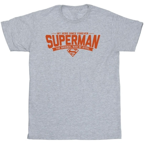 Abbigliamento Uomo T-shirts a maniche lunghe Dc Comics Superman Hero Dad Grigio