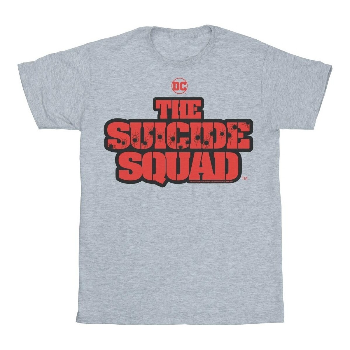 Abbigliamento Uomo T-shirts a maniche lunghe Dc Comics The Suicide Squad Movie Logo Grigio
