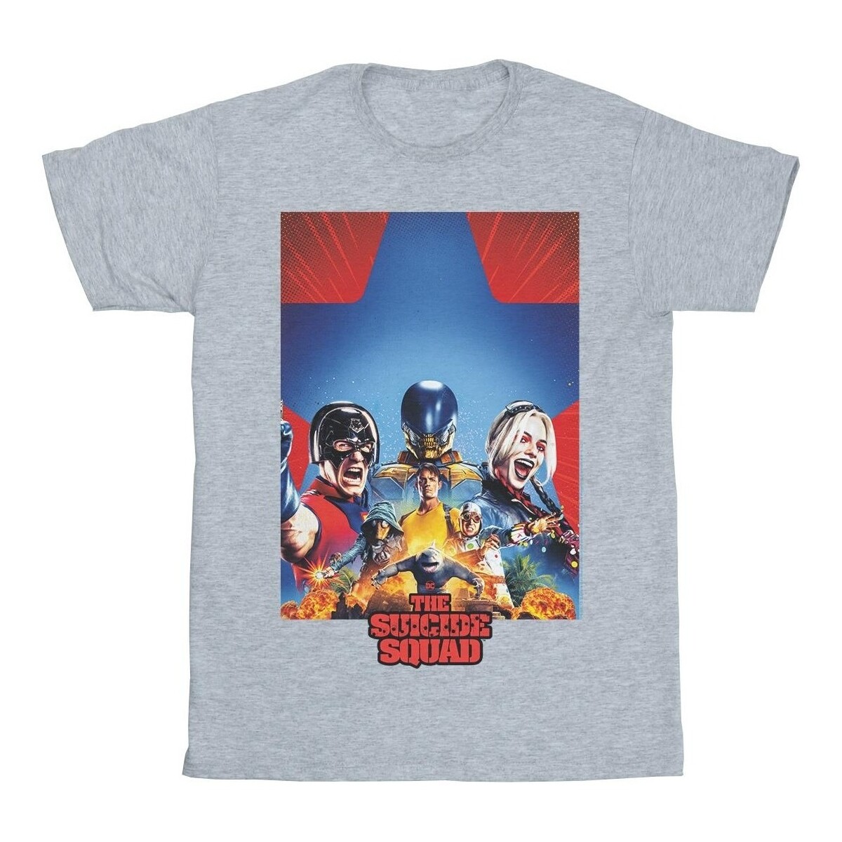 Abbigliamento Uomo T-shirts a maniche lunghe Dc Comics The Suicide Squad Blue Star Poster Grigio