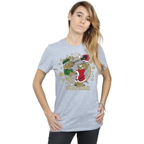 Abbigliamento Donna T-shirts a maniche lunghe Dessins Animés Christmas Surprise Grigio