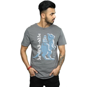 Abbigliamento Uomo T-shirts a maniche lunghe Disney Kanji Luke Hoth Multicolore