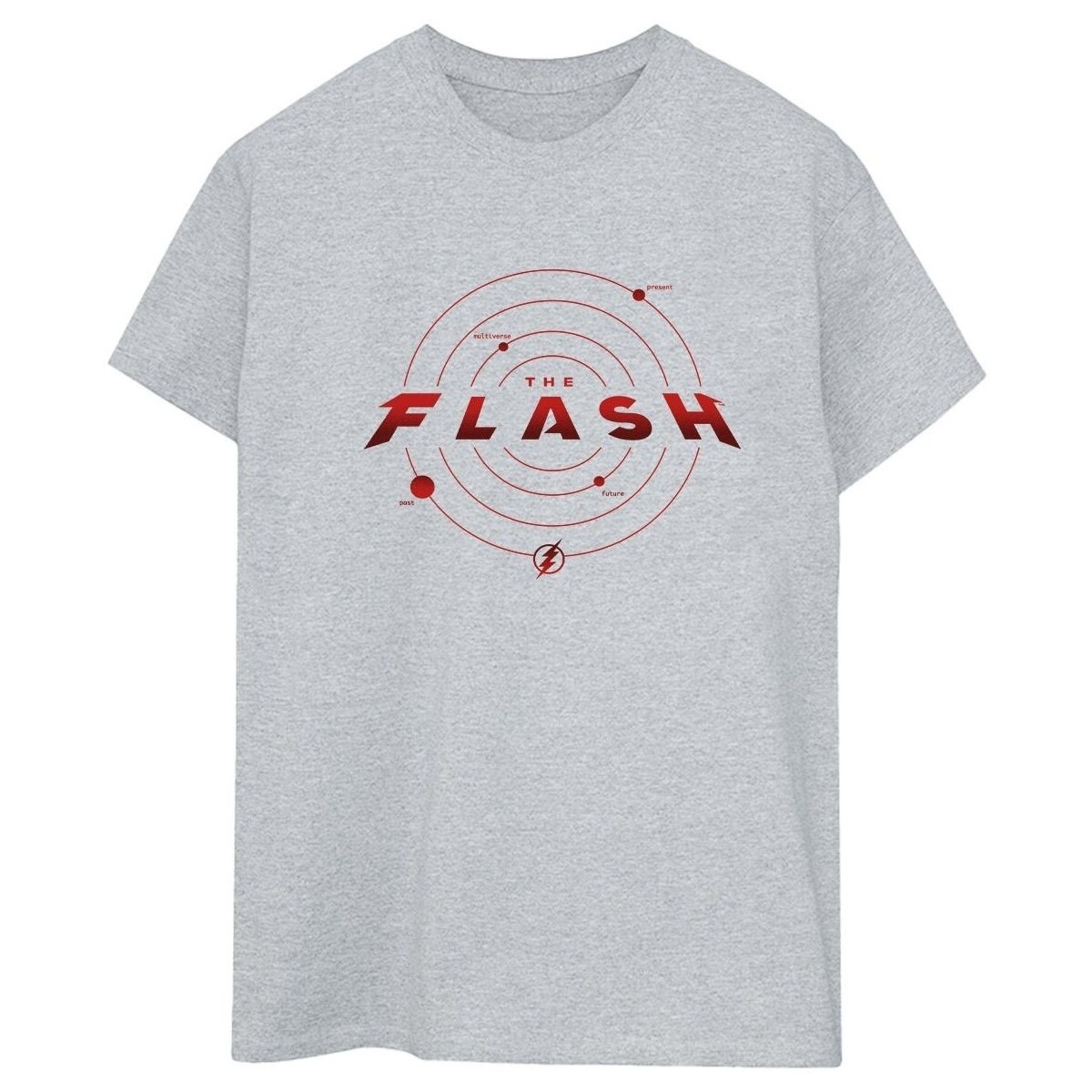 Abbigliamento Donna T-shirts a maniche lunghe Dc Comics The Flash Multiverse Rings Grigio