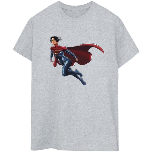 Abbigliamento Donna T-shirts a maniche lunghe Dc Comics The Flash Supergirl Grigio