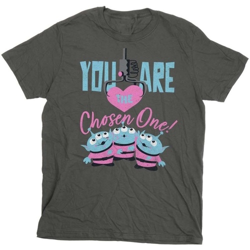 Abbigliamento Donna T-shirts a maniche lunghe Disney Toy Story You Are The Chosen One Multicolore