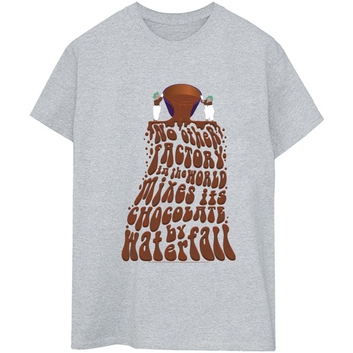 Abbigliamento Donna T-shirts a maniche lunghe Willy Wonka Chocolate Waterfall Grigio