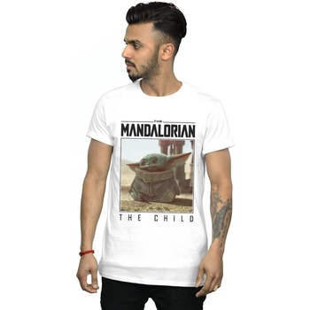 Abbigliamento Uomo T-shirts a maniche lunghe Disney The Mandalorian The Child Frame Bianco