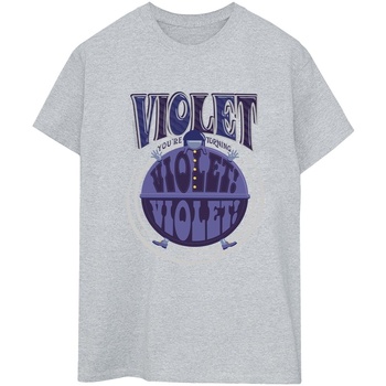 Abbigliamento Donna T-shirts a maniche lunghe Willy Wonka Violet Turning Violet Grigio