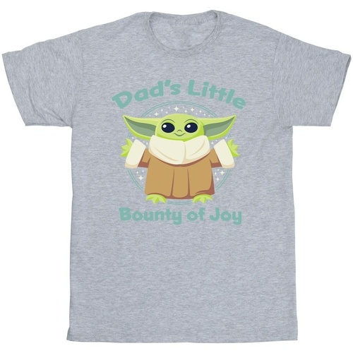 Abbigliamento Uomo T-shirts a maniche lunghe Disney The Mandalorian Bounty Of Joy Grigio