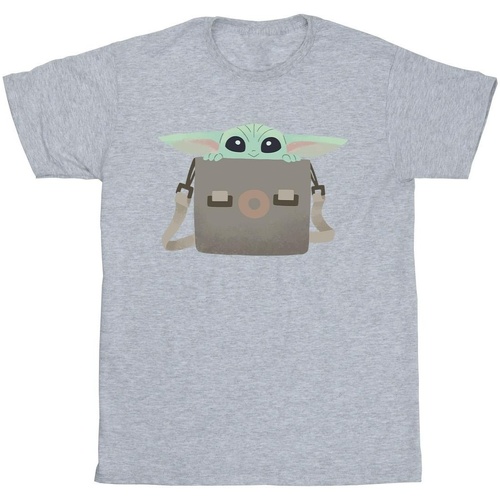 Abbigliamento Uomo T-shirts a maniche lunghe Disney The Mandalorian Grogu Luggage Grigio