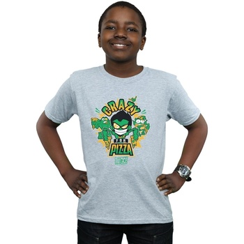 Abbigliamento Bambino T-shirt maniche corte Dc Comics Teen Titans Go Crazy For Pizza Grigio