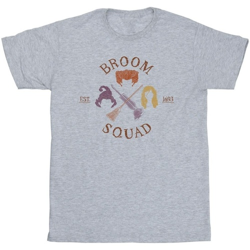 Abbigliamento Bambina T-shirts a maniche lunghe Disney Hocus Pocus Broom Squad 93 Grigio