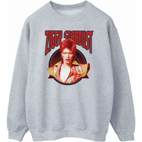 Abbigliamento Donna Felpe David Bowie Ziggy Stardust Grigio