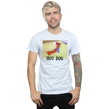 Abbigliamento Uomo T-shirts a maniche lunghe Dessins Animés Hot Dog Grigio