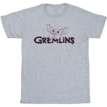 Abbigliamento Bambina T-shirts a maniche lunghe Gremlins Logo Line Grigio