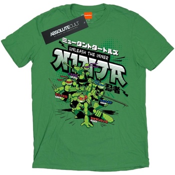 Abbigliamento Bambina T-shirts a maniche lunghe Tmnt Unleash The Inner Ninja Verde