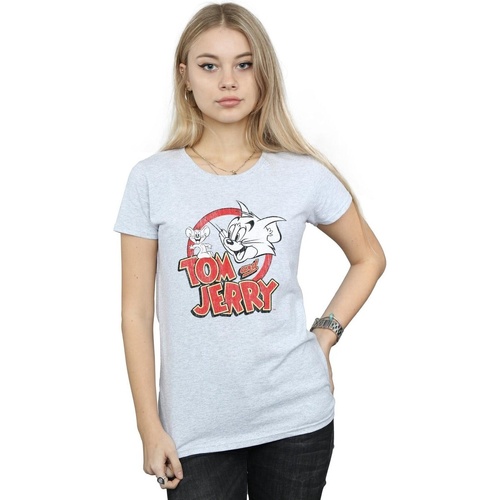 Abbigliamento Donna T-shirts a maniche lunghe Dessins Animés Distressed Logo Grigio