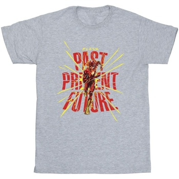 Abbigliamento Uomo T-shirts a maniche lunghe Dc Comics The Flash Past Present Future Grigio