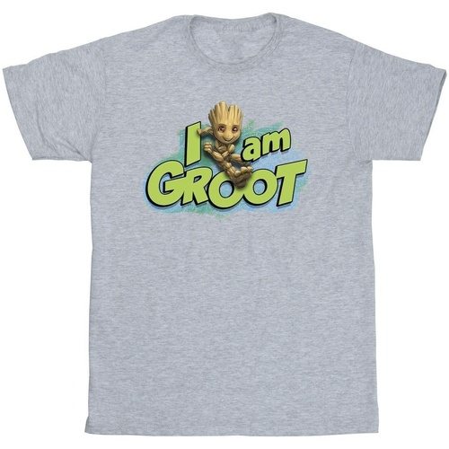 Abbigliamento Bambino T-shirt maniche corte Marvel Guardians Of The Galaxy I Am Groot Jumping Grigio