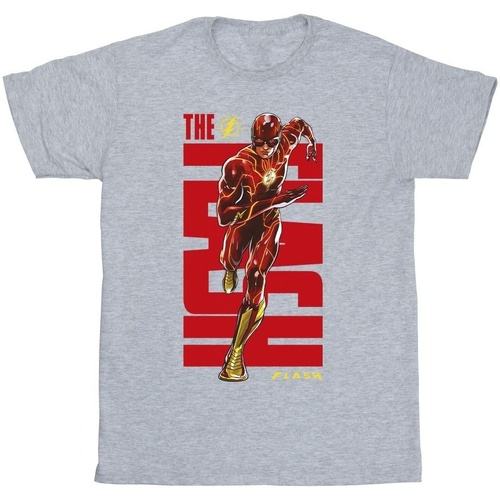 Abbigliamento Uomo T-shirts a maniche lunghe Dc Comics  Grigio