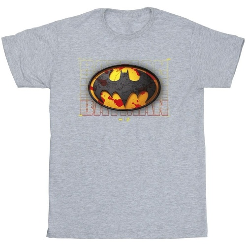 Abbigliamento Uomo T-shirts a maniche lunghe Dc Comics The Flash Batman Red Splatter Grigio