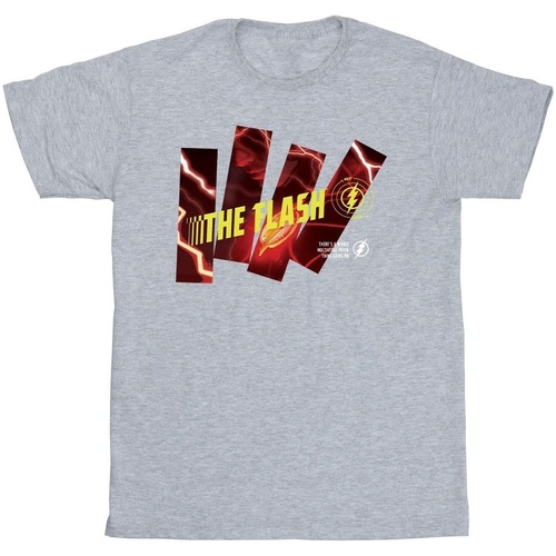 Abbigliamento Uomo T-shirts a maniche lunghe Dc Comics The Flash Pillars Grigio