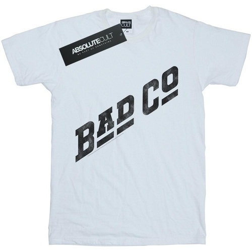 Abbigliamento Bambina T-shirts a maniche lunghe Bad Company Distressed Logo Bianco