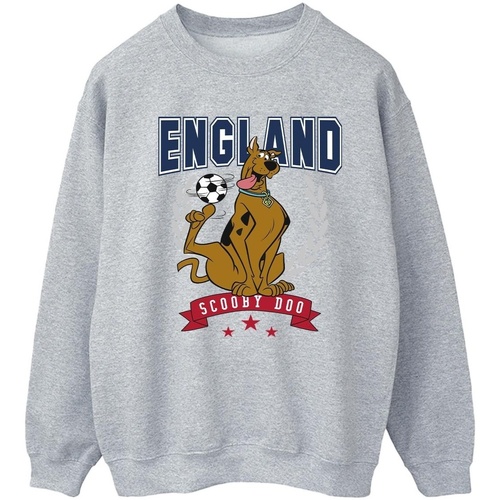 Abbigliamento Donna Felpe Scooby Doo England Football Grigio