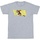 Abbigliamento Uomo T-shirts a maniche lunghe Dc Comics The Flash Lightning Dash Grigio
