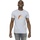 Abbigliamento Uomo T-shirts a maniche lunghe Dc Comics The Flash Lightning Logo Grigio