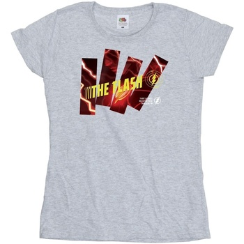 Abbigliamento Donna T-shirts a maniche lunghe Dc Comics The Flash Pillars Grigio