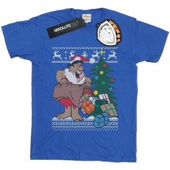 Abbigliamento Donna T-shirts a maniche lunghe The Flintstones Christmas Fair Isle Blu