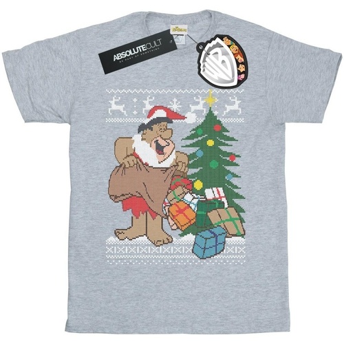 Abbigliamento Donna T-shirts a maniche lunghe The Flintstones Christmas Fair Isle Grigio