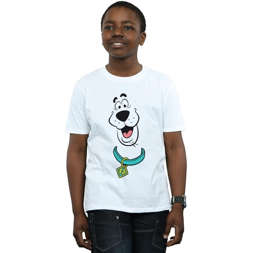 Abbigliamento Bambino T-shirt & Polo Scooby Doo Big Face Bianco