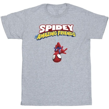 Abbigliamento Bambino T-shirt maniche corte Marvel Spider-Man Hanging Upside Down Grigio