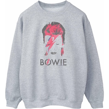 Abbigliamento Donna Felpe David Bowie  Grigio