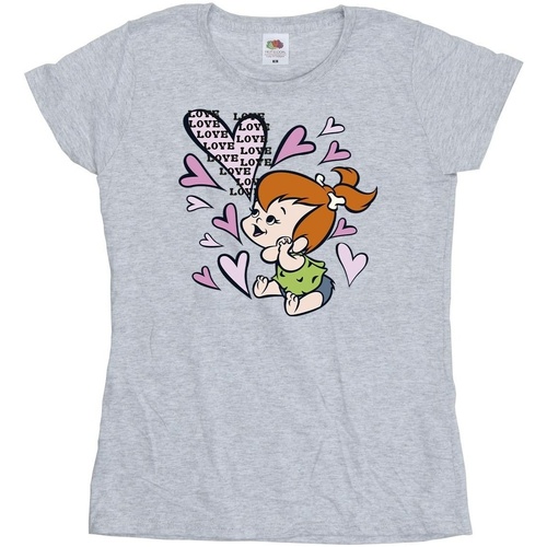 Abbigliamento Donna T-shirts a maniche lunghe The Flintstones Pebbles Love Love Love Grigio