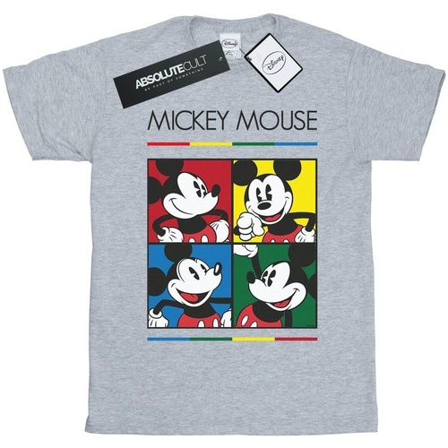 Abbigliamento Donna T-shirts a maniche lunghe Disney Mickey Mouse Square Colour Grigio
