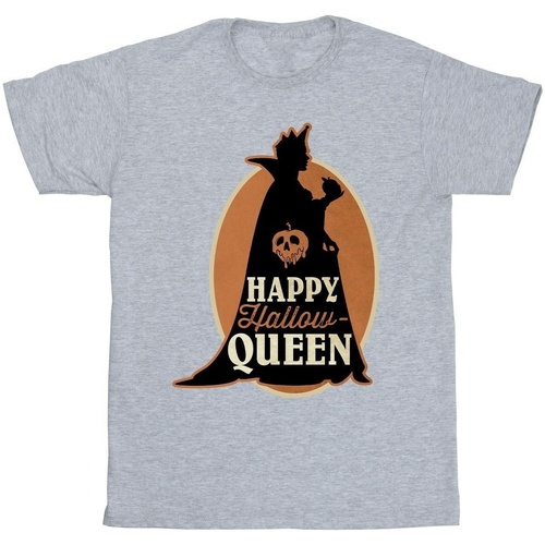 Abbigliamento Uomo T-shirts a maniche lunghe Disney Villains Hallow Queen Grigio