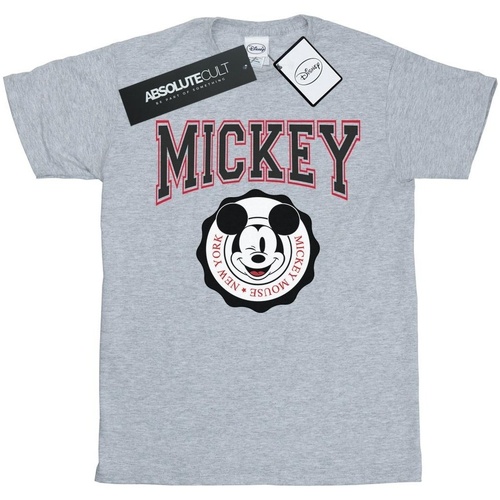 Abbigliamento Donna T-shirts a maniche lunghe Disney Mickey Mouse New York Seal Grigio