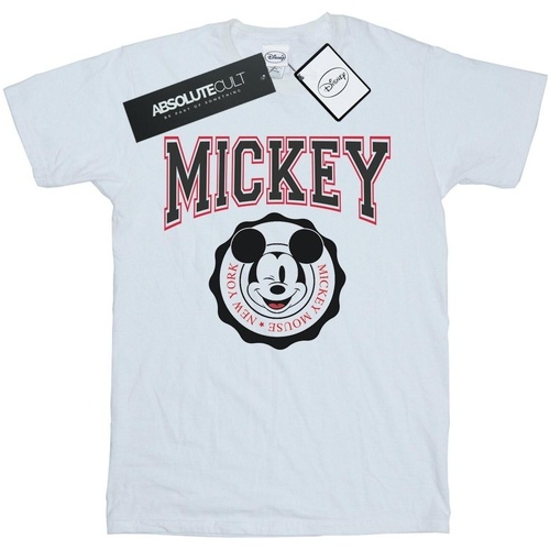 Abbigliamento Donna T-shirts a maniche lunghe Disney Mickey Mouse New York Seal Bianco