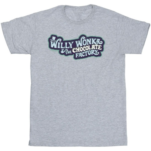 Abbigliamento Uomo T-shirts a maniche lunghe Willy Wonka Chocolate Factory Logo Grigio